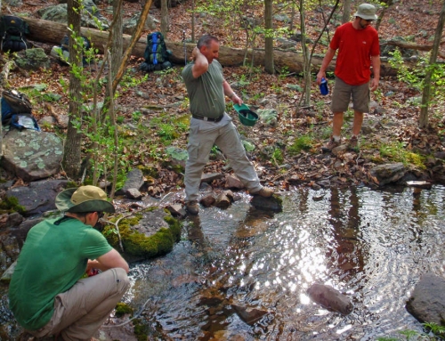 Ozark Trail – Spring 2009